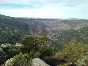 Inland views