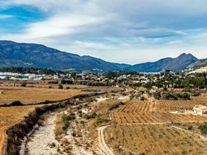 Distant Caballo Verde (R)