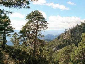 Looking S from our route to Castellona