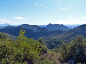 View SW