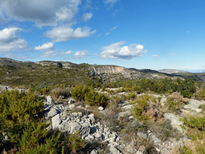One of the many crag edges