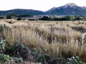 View from Alcalali to Serra de Besa on left & Penya Talai on rig