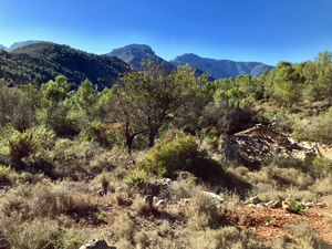Serra de Besa ridge on left and beyond towards Penya Talai & Ser