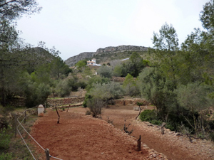 Rural Villa