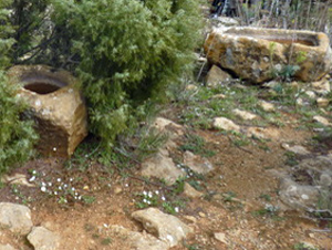Stone water troughs