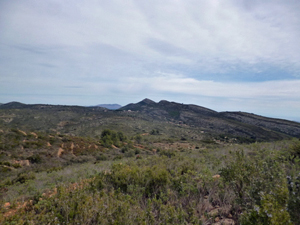Rolling hills
