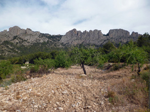 Early view across to Castellets