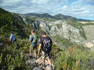 Along the ridge