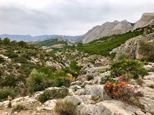 The upper reaches of Barranco Xarquer