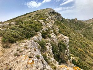 Tossal Gran summit ridge