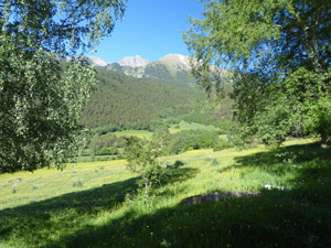 Across the Noguera valley from Son