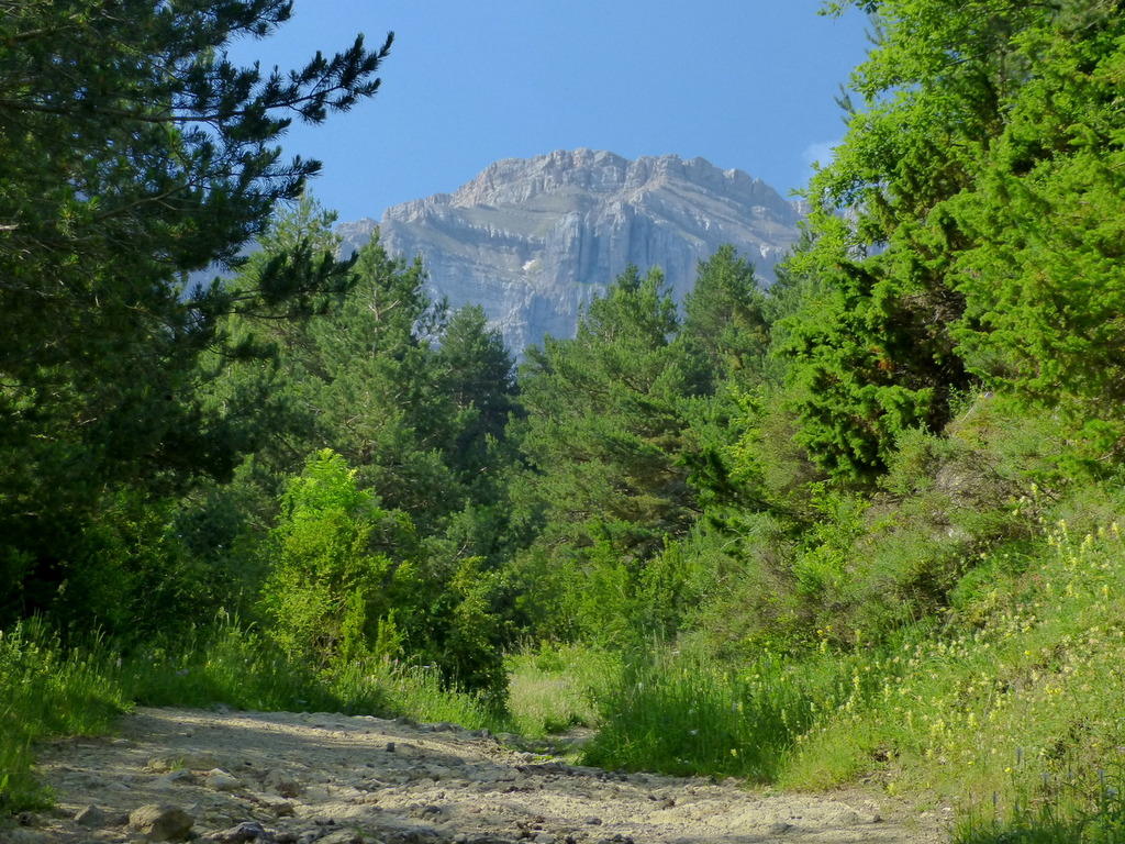 Early ridge views