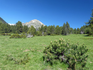 Lo Tesol from S of Pas del Coro