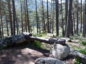 Park bench