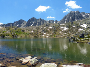 Picture postcard