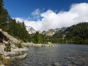 View NW across Estany de Ratera