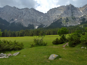View of the cirque SE from Prat de Cadi