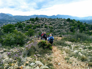 Back to the col