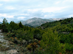 Distant Castell d'Aixa range