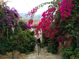 Lliber village street