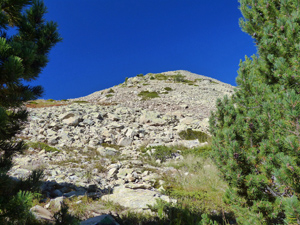 Looking back up before walking through the trees