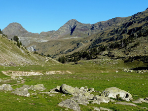 Looking down the valley