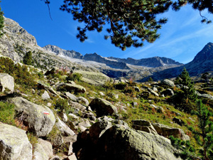 Looking up towards Ibona de Llosas