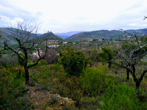 Muntanyeta