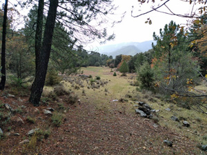 View on from our second col