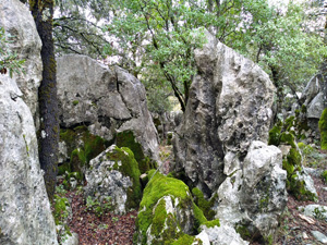 Rock architecture