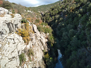 From the bridge over the Guadalquivir