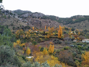 Autumn colours above Cazorla