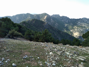 View S along the ridge