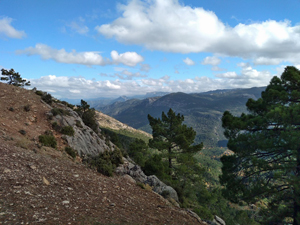 View N along the ridge