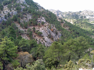 Rocky crags and barranco