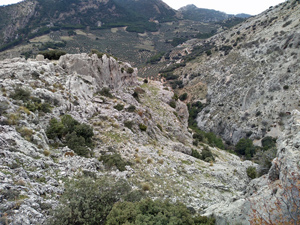 View from La Pedriza
