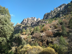 Upper valley views - 2