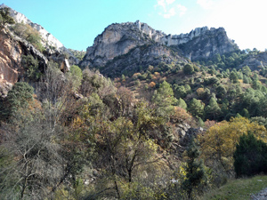 Upper valley views - 3