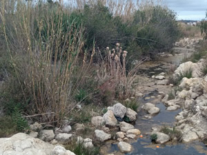 Low water in Jalon river