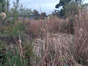 Riverbed at Jalon