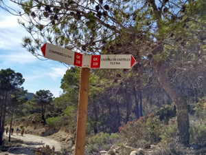 Signpost