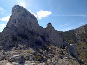 The  craggy Borrell ridge