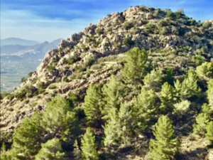 Miquelet with route C on its left