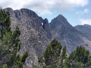 Eye catching forat in the Serrella ridge