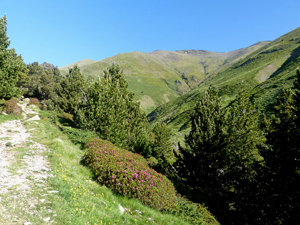 Starting up beside the Torrent de Finistrelles