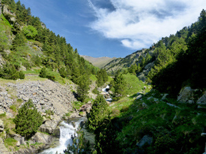 A typical section of Cami Vel