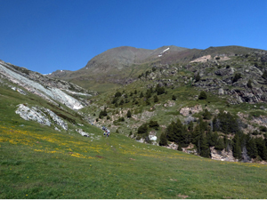 Crossing the grassy col on the way up