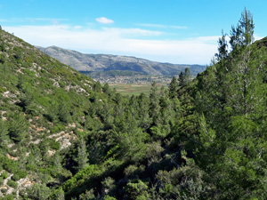 View down the barranco