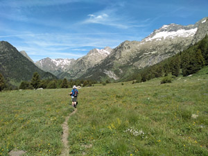 High pastures at about 5km