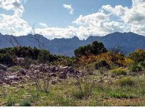 Bernia ridge